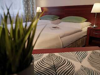 Отель Hotel Srebrna Góra Сребрна Гура Двухместный номер «Комфорт» с 1 кроватью или 2 отдельными кроватями-2